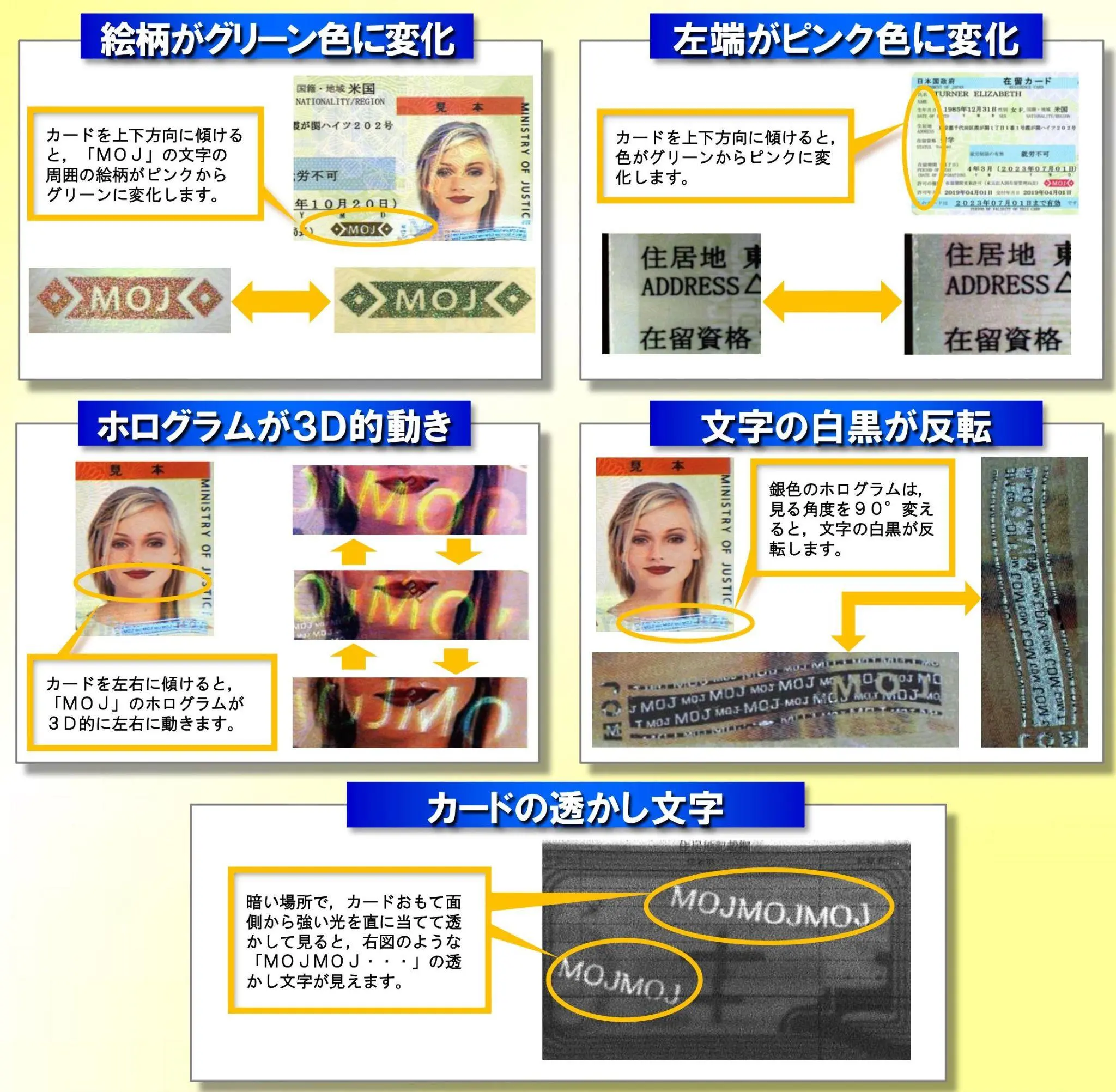 目視による偽変造防止対策の確認