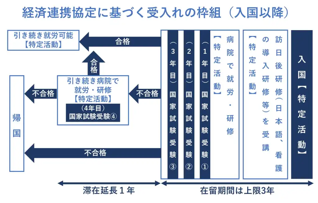 医療分野における外国人労働者の受入れ状況