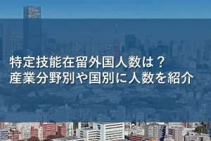 特定技能在留外国人数は?産業分野別や国別に人数を紹介